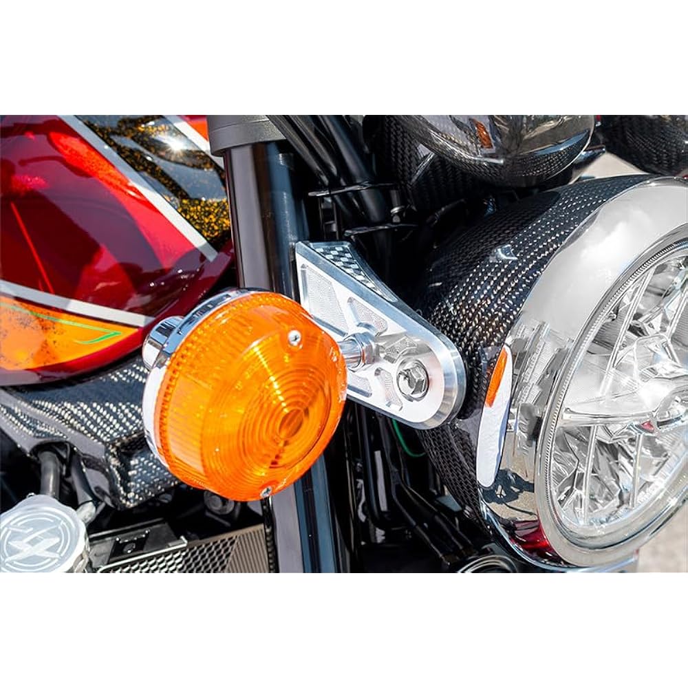 PMC Honeycomb Light Stay Cover Shining Silver Z900RS 189-4113