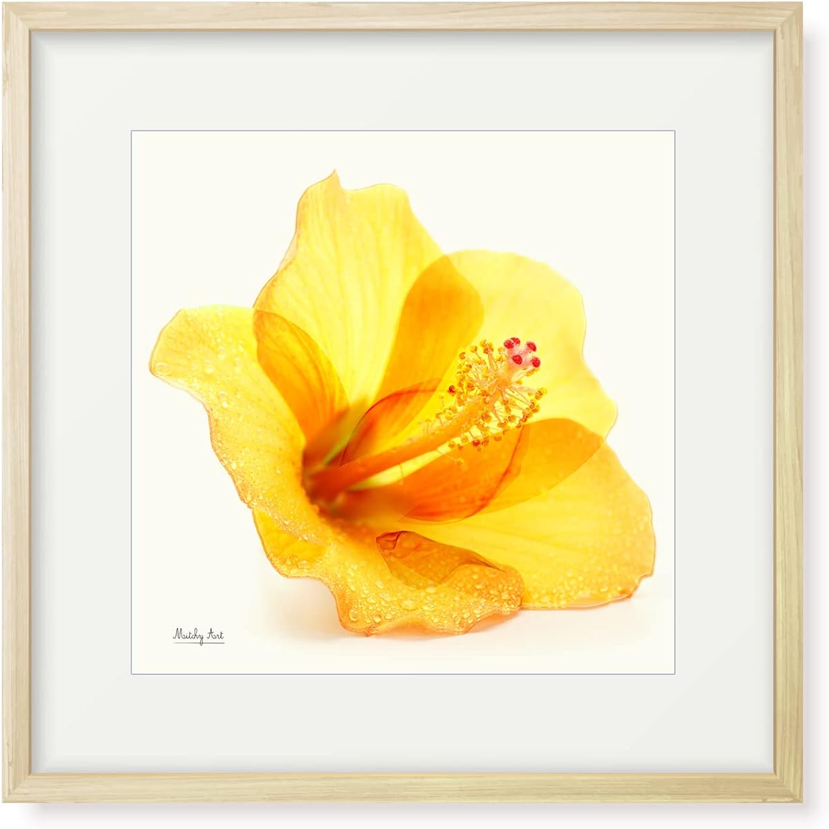 Painting "Hibiscus After the Rain" Interior Painting Flower Art Panel Framed (Height 32cm x Width 32cm)
