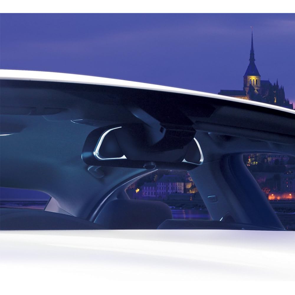 HALLSTATT Interior Mirror Cover for BMW HS-BM2