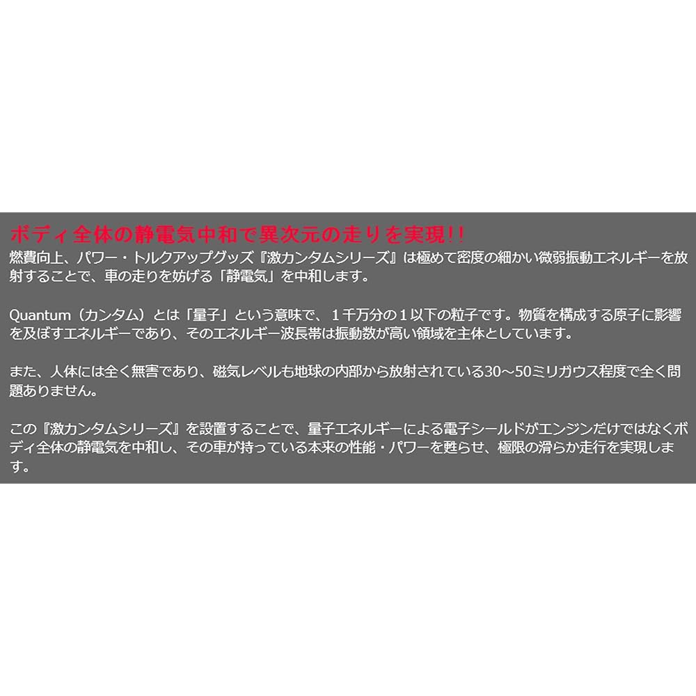 K'sWING TOHoku Body and Battery Mounted Static Neutralizer Geki Quantum Neo Tuning Set