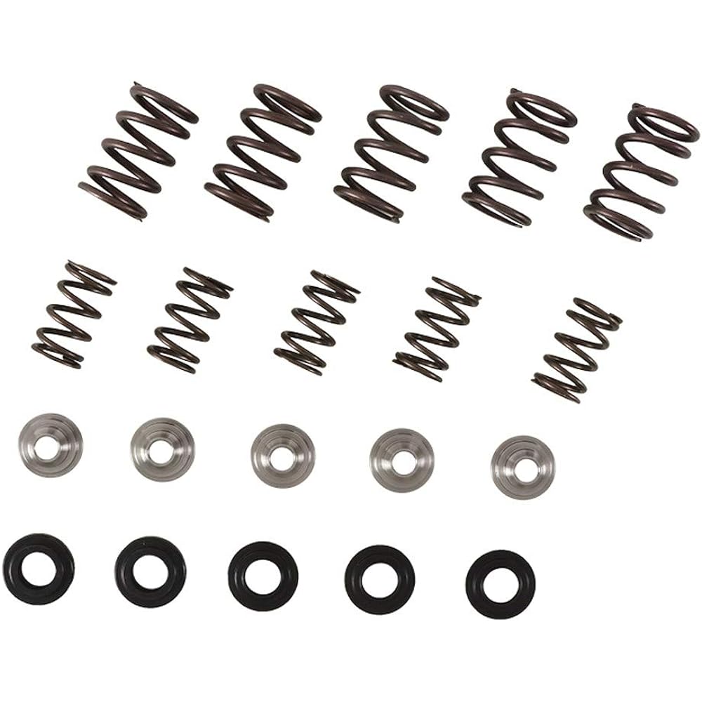 Valve Spring Kit rptr660