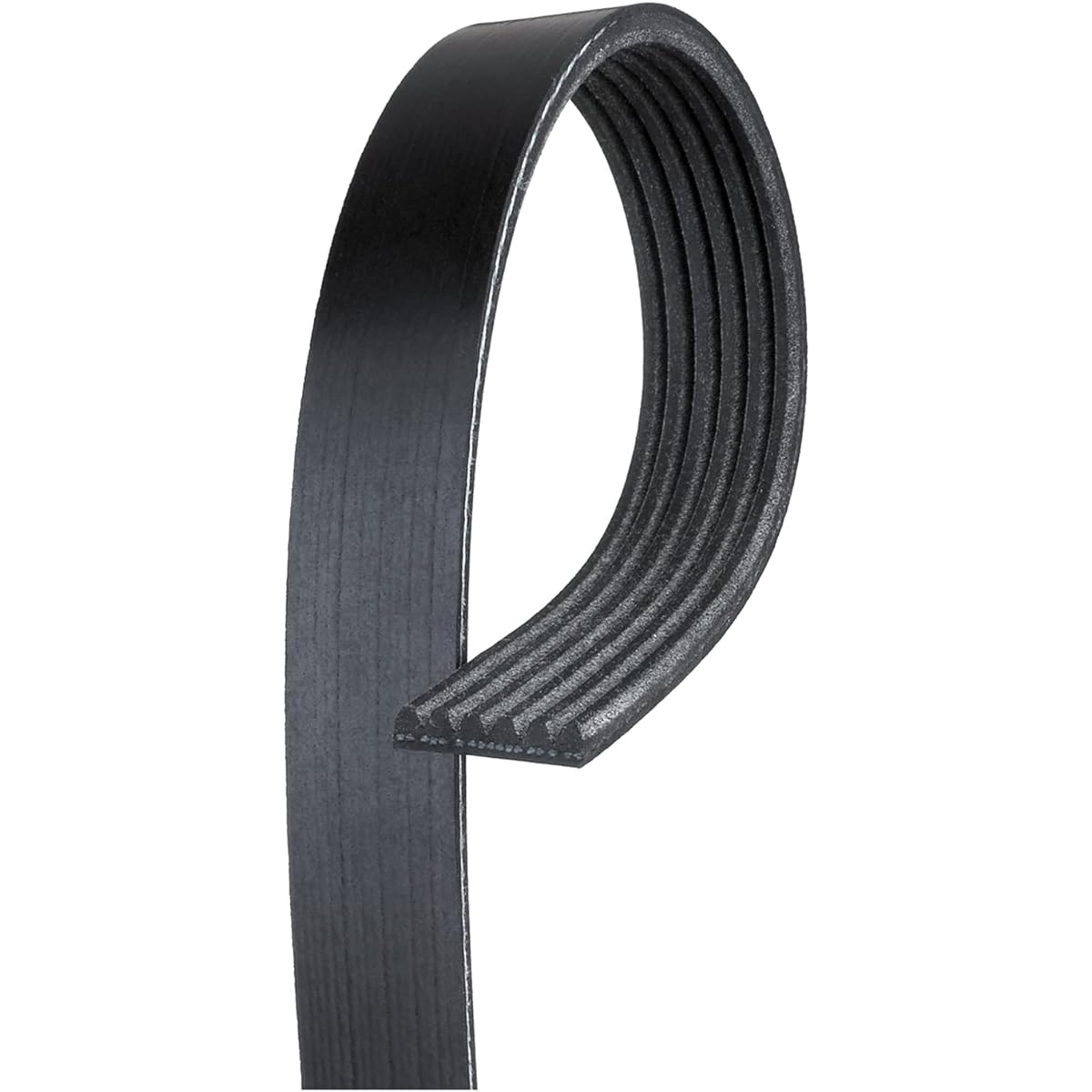 GATES K060841 Servent Tine Belt/Fambelt