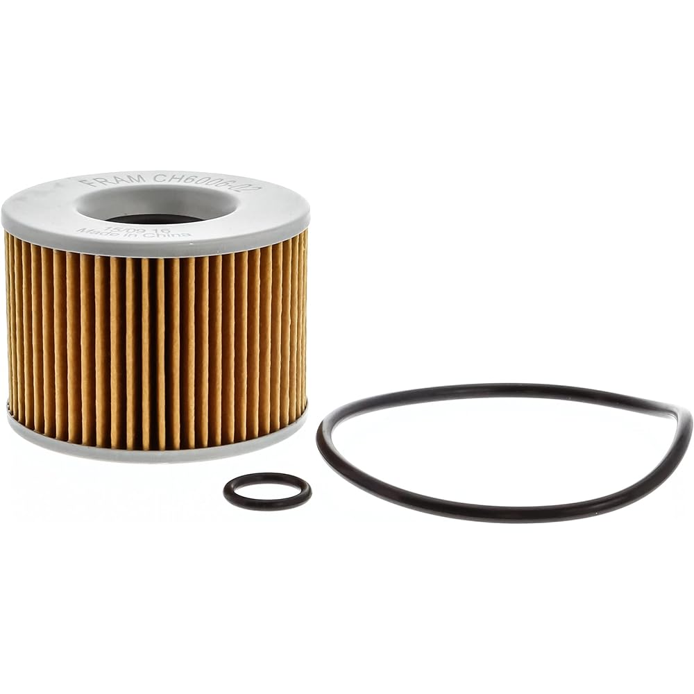 Fram CH6006 Oil Filter for Motorcycle