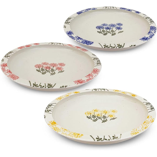 J-kitchens Hasamiyaki Large Plate Set of 3, Isaozan Kiln Karsuku Plate L, Diameter 23 x Height 3.8cm, Microwave Safe, Dishwasher Safe, Made in Japan, Wild Flower