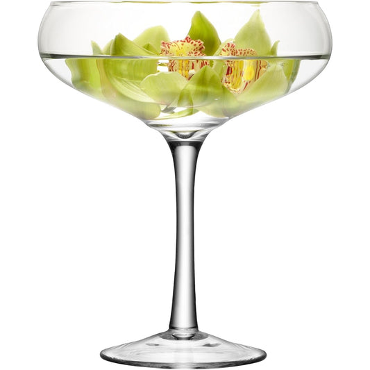 LSA Champagne Glass Object Clear Height 30cm MIDI G342-30-301