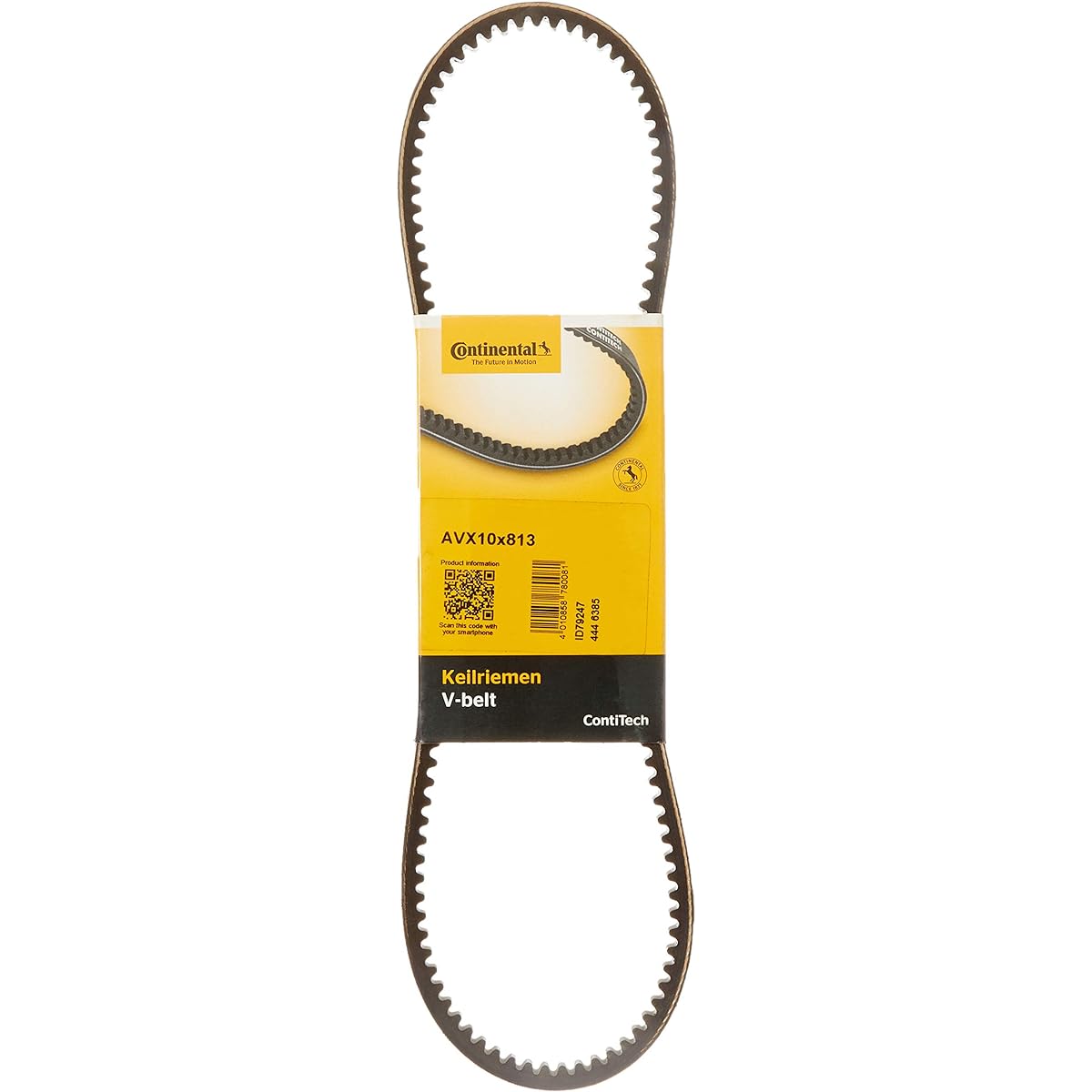 DRIVE BELT Drive Belt AVX10x0813 by Contitech