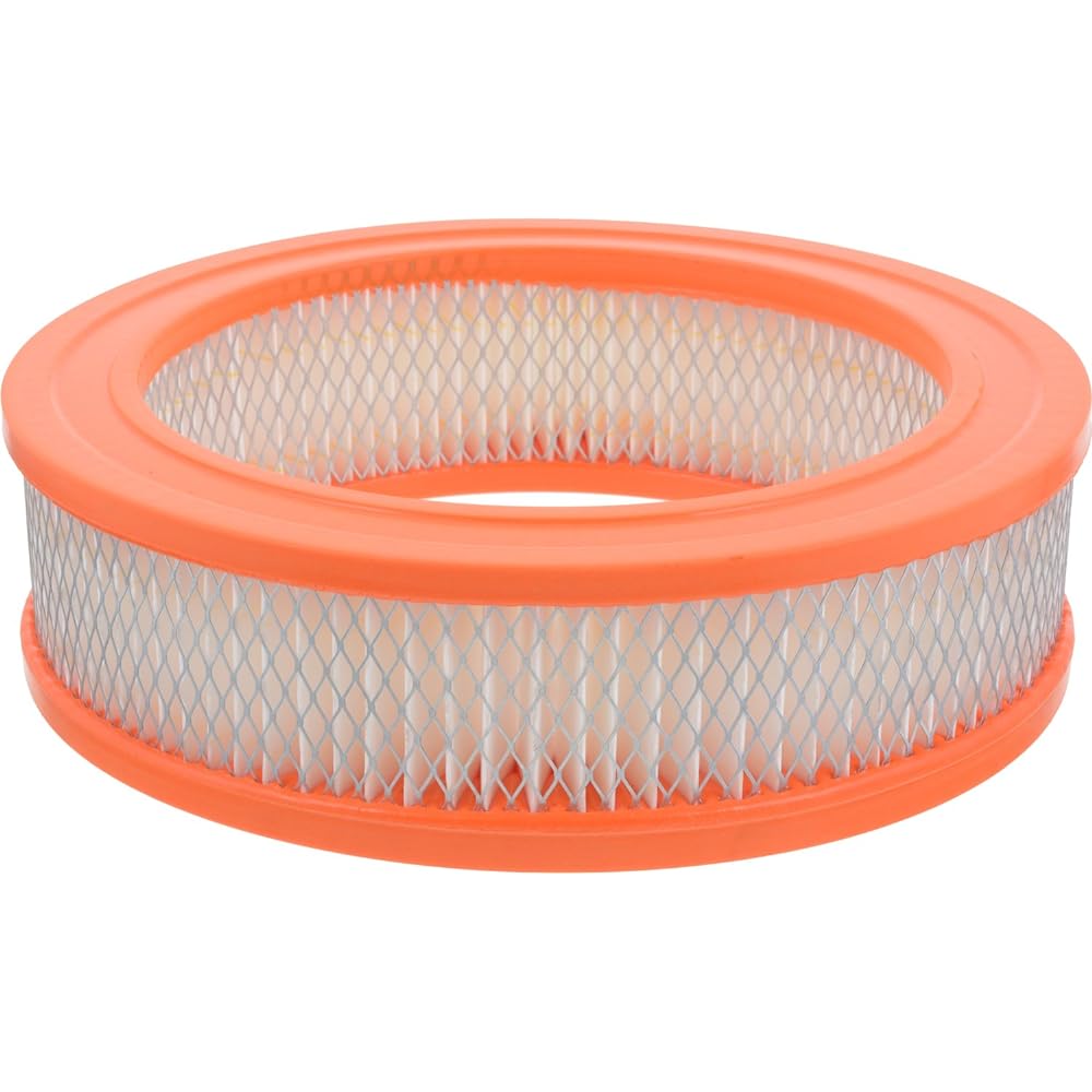 Fram GroupCA160Air Filter-AIR FILTER (Parallel Import)