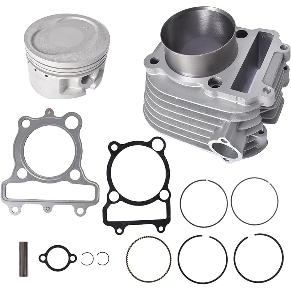 waltyotur Cylinder Piston Head Gasket Top End Kit Replacement Yamaha Bear Tracker 250 YFM250X YFM250B YFM250XH Hunter Edition 1999-2004