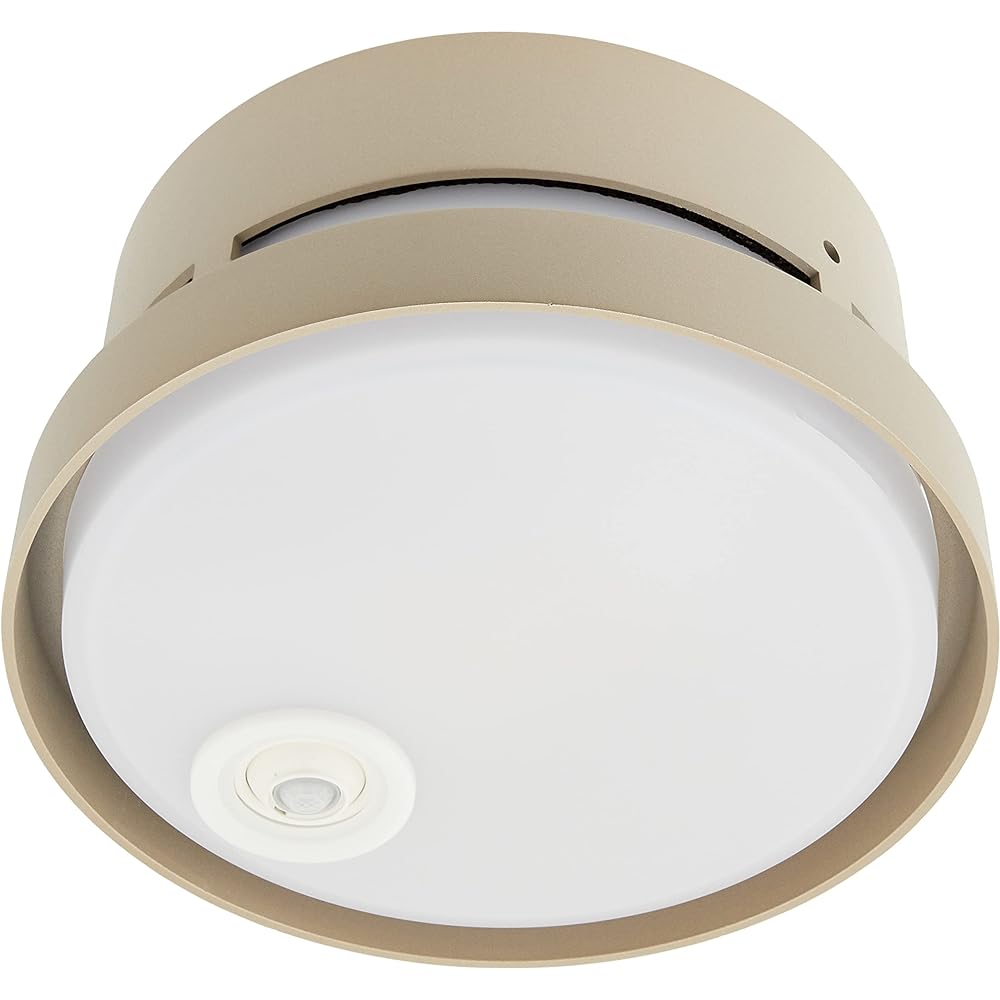 Panasonic Porch Light, Ceiling Mounted, Bulb Color, Rainproof, Energy Saving, with Brightness Sensor, 40 Type, Platinum Metallic, LGWC56020YF