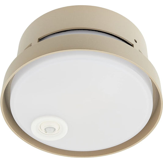 Panasonic Porch Light, Ceiling Mounted, Bulb Color, Rainproof, Energy Saving, with Brightness Sensor, 40 Type, Platinum Metallic, LGWC56020YF