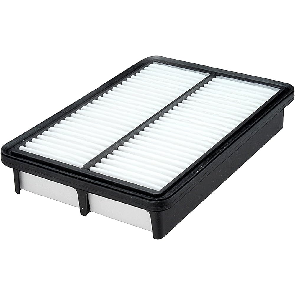 FRAM Extragard Air Filter CA10086 For some models of Hyundai and Kia