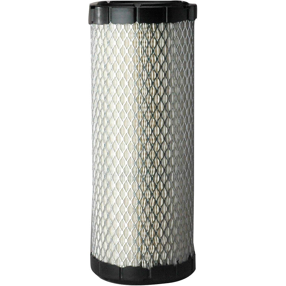 Donaldson P821575 Air filter primary (2 packs)
