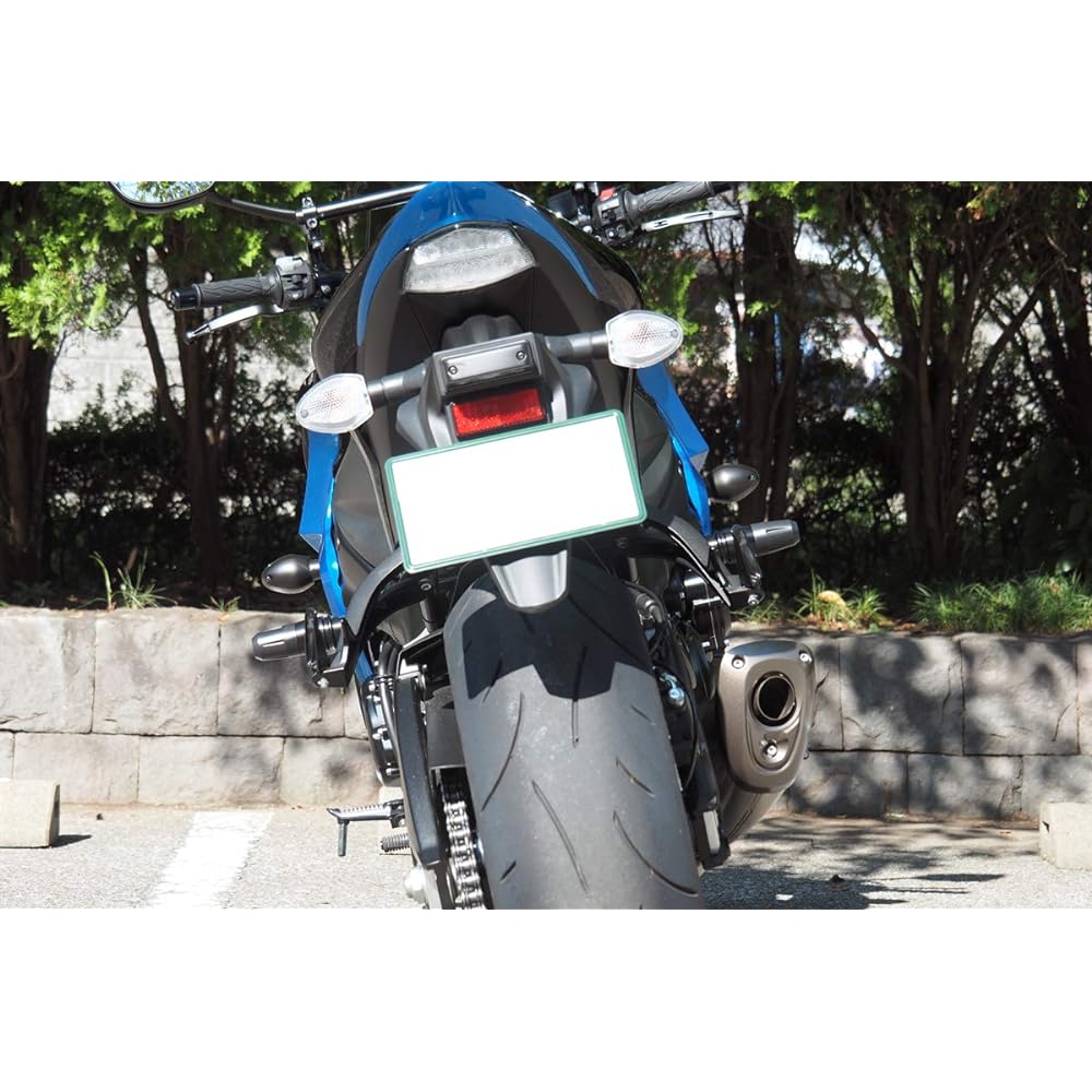 World Walk GSX-S1000F engine guard left and right 2 piece set weg-12e