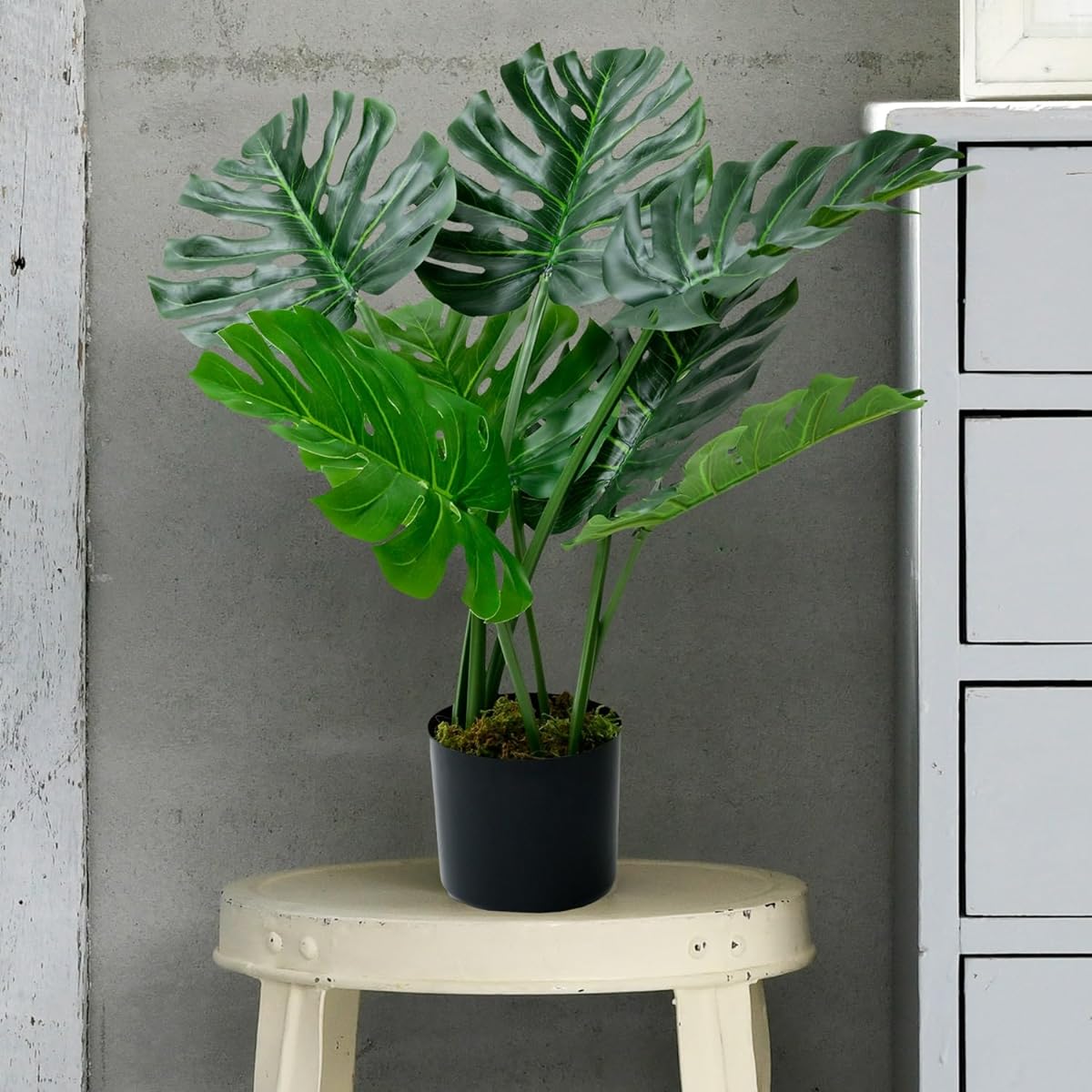 [Yamazen] Fake Green, Height 65cm, No watering required, Will not wither, No pests, Artificial houseplant, Houseplant, Interior, Office, Stylish, Healing, SIMPLANTS FG-MON65 Monstera