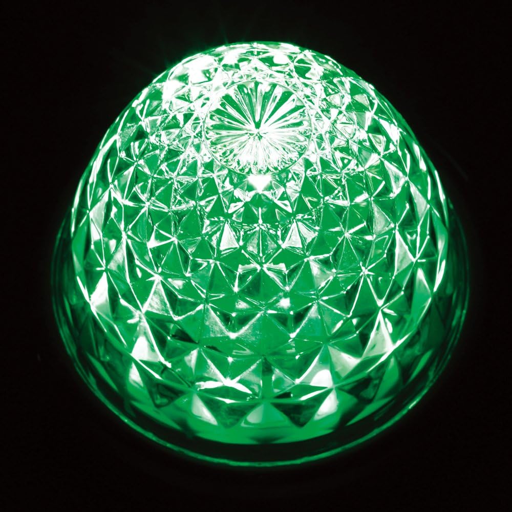 Tsuchiya Yak Marker Lamp LED Unit Clear Reflector 24V Green CE-4