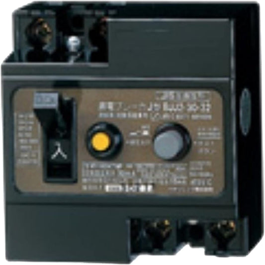 Panasonic Leakage J Type 2P2E20A 30mA BJJ22032