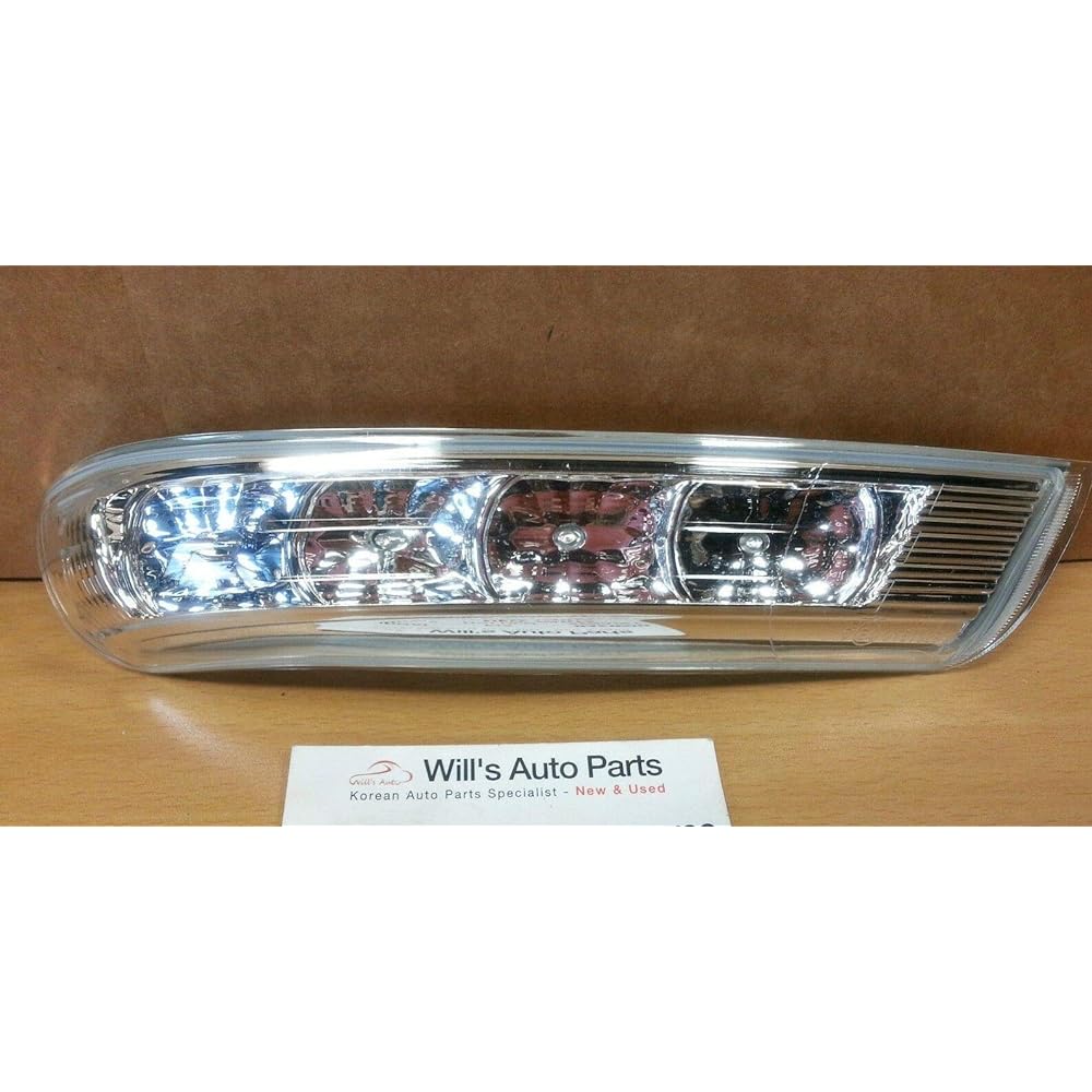 Genuine Hyundai 87623-3J000 Mirror Lamp Acemburi Right Right