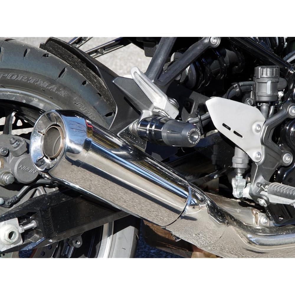 World Walk Z900RS Muffler Guard Weg-6m