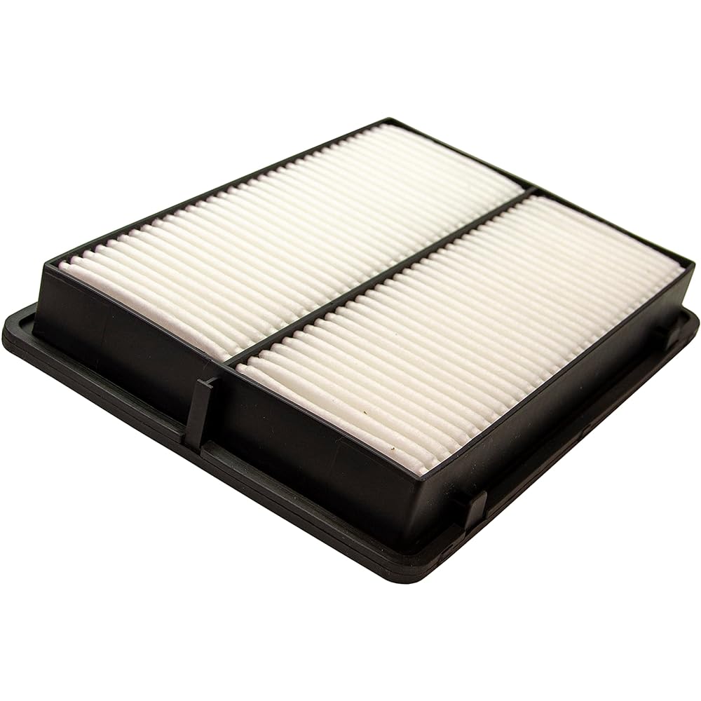 ECOGARD XA10460 Premium Air Filter