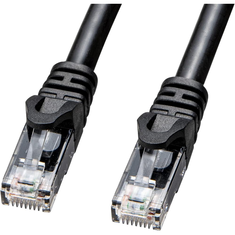 Sanwa Supply Outdoor Waterproof Category 6A LAN Cable (Black, 10m) KB-T6AWP-10BK