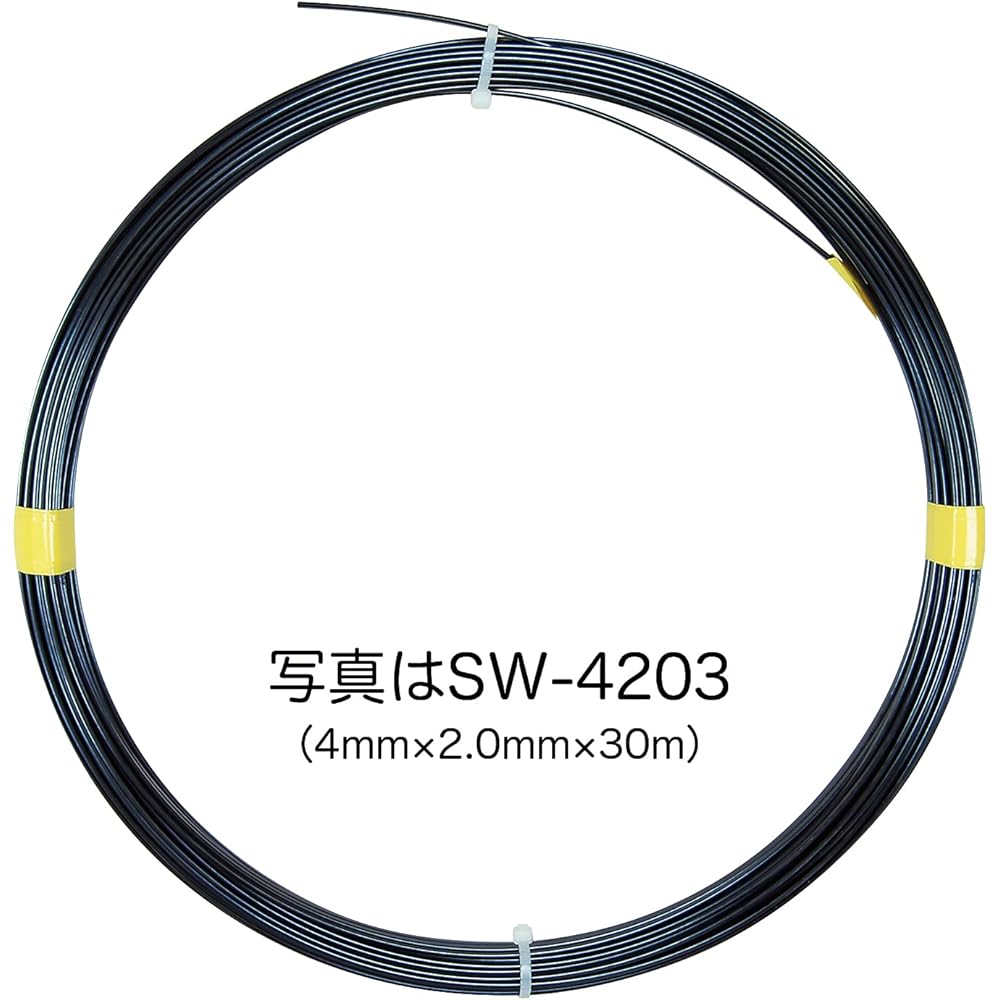 Densan Steel Wire High Grade Hardened Hard Steel Wire Width 3.0 x Thickness 1.5mm 30m SW-3153
