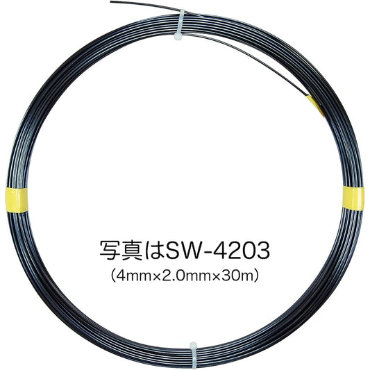 Densan Steel Wire High Grade Hardened Hard Steel Wire Width 3.0 x Thickness 1.5mm 30m SW-3153