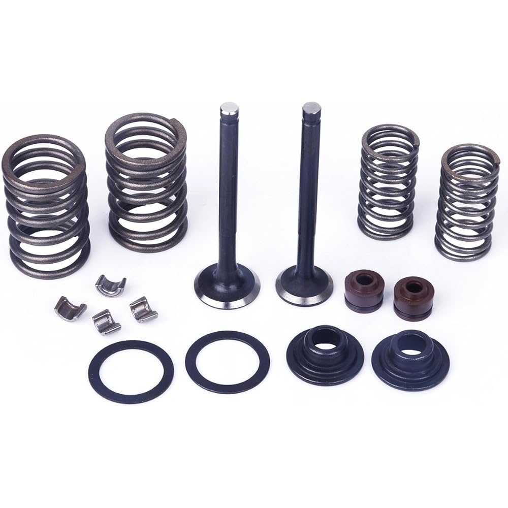 Glixal ATMT1-061 139QMB 139QMA 50cc 60cc 80cc 100cc GY6 Cylinder Head Intake & Exhaust Valve Set with Valve Spring Assembly Kit for Chinese Scooter Moped ATV Go Kart (69mm Length)