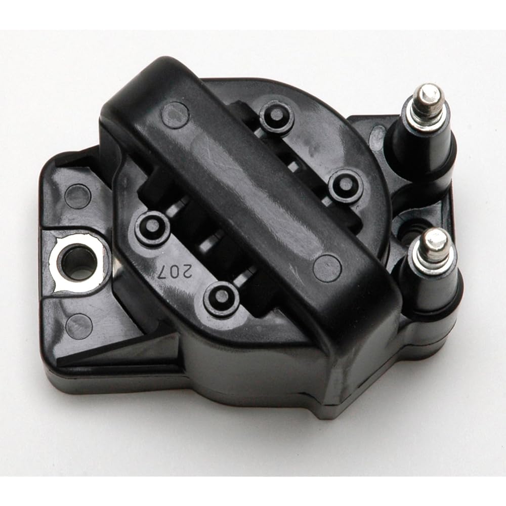 Delphi GN10123 Ignition Coil