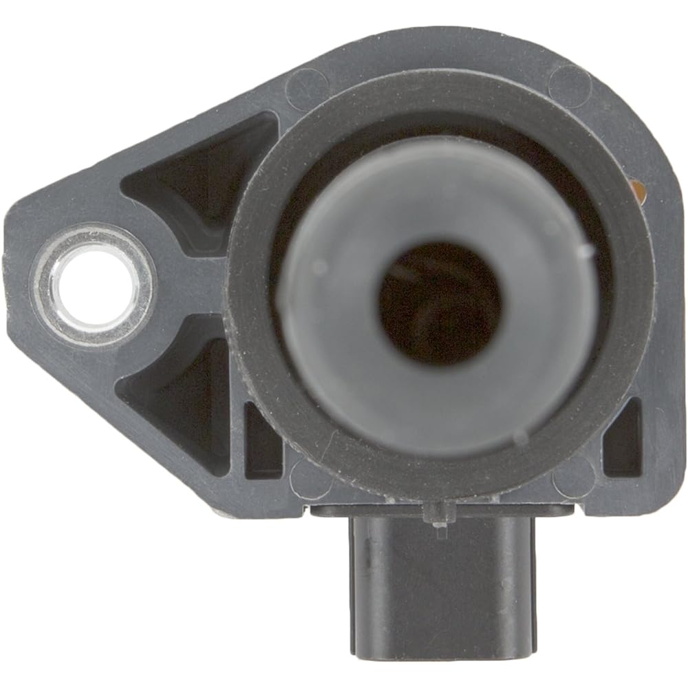 Delphi GN10324 Ignition Coil