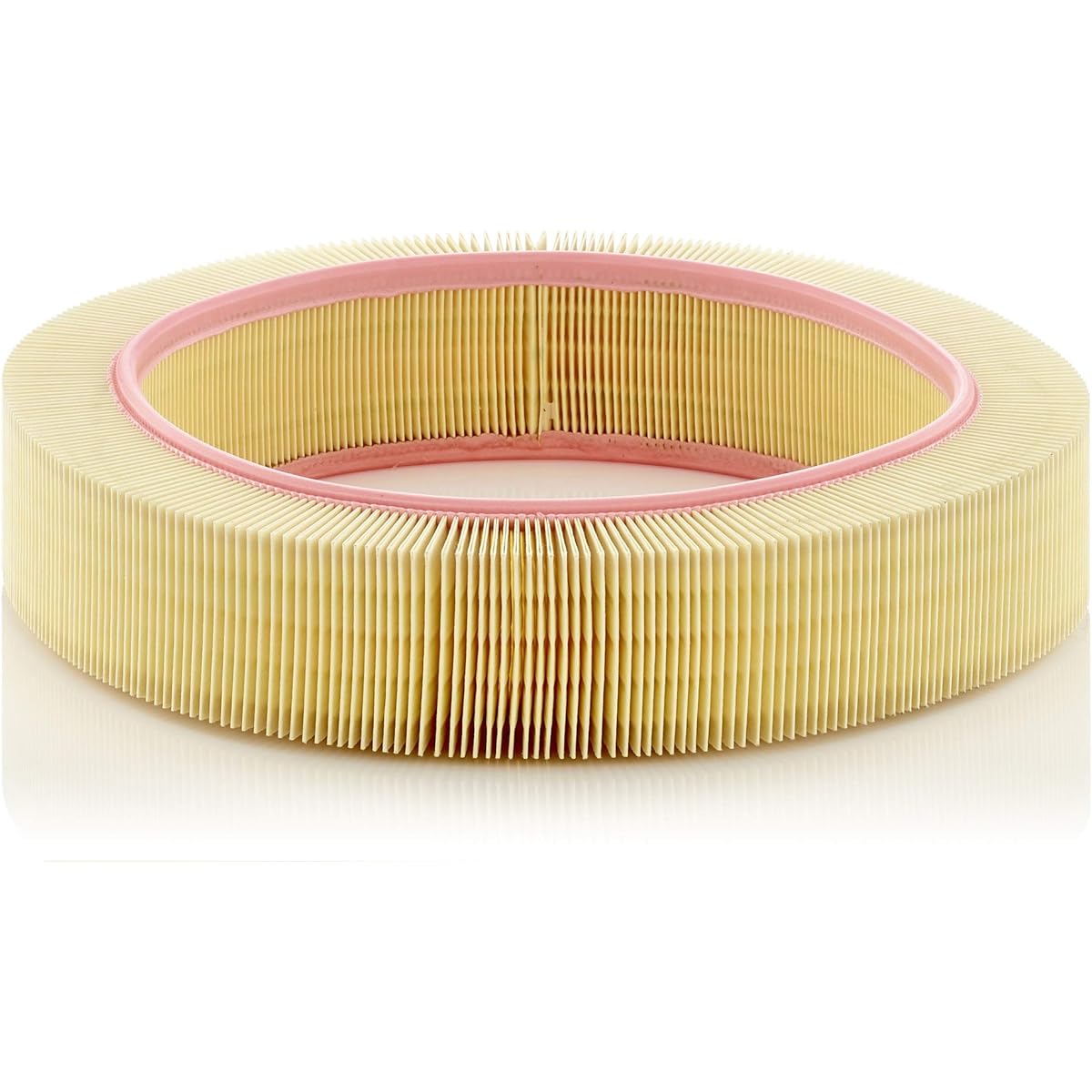 MANN (Man Filter)/Air Element Part Number: C40174 C40174