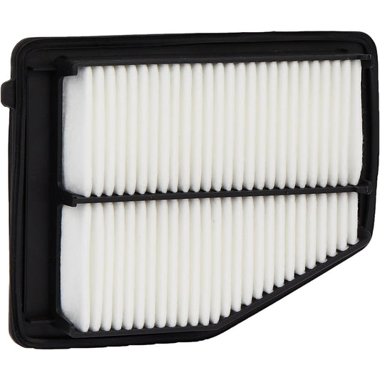 ECOGARD XA6171 Air filter