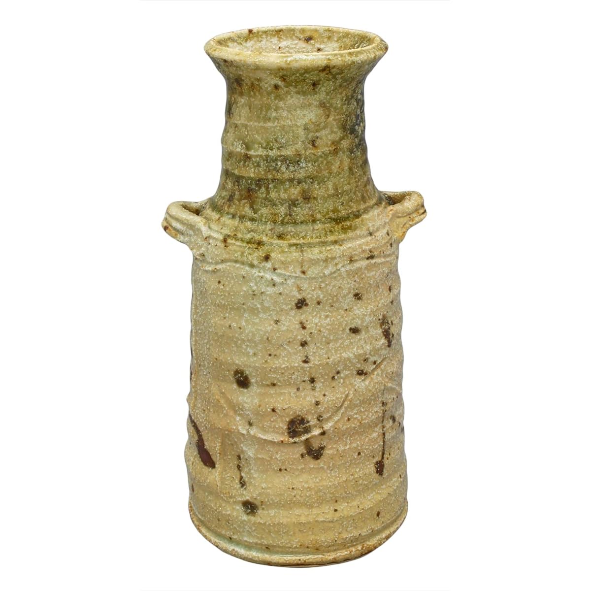Mino ware Teruyuki Mizuno vase with ears ash glaze 039-0027