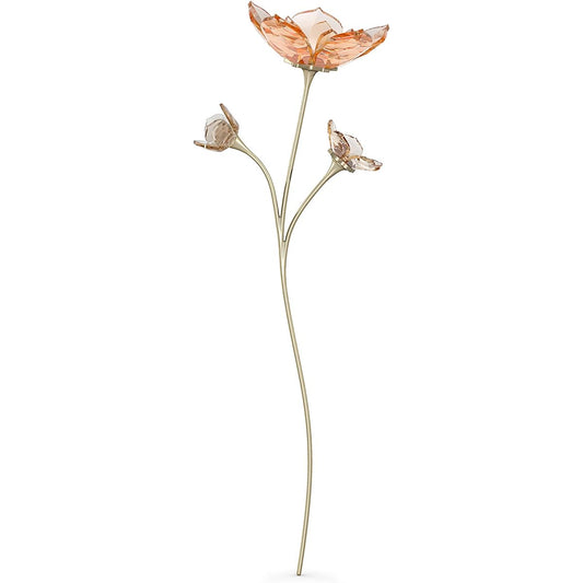 [Swarovski] [Official] Garden Tales Magnolia [Regular Imported Product]