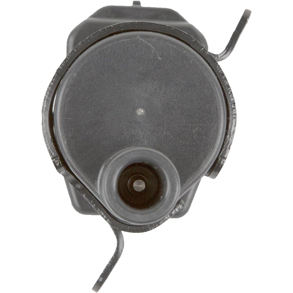 Delphi GN10119 Ignition Coil