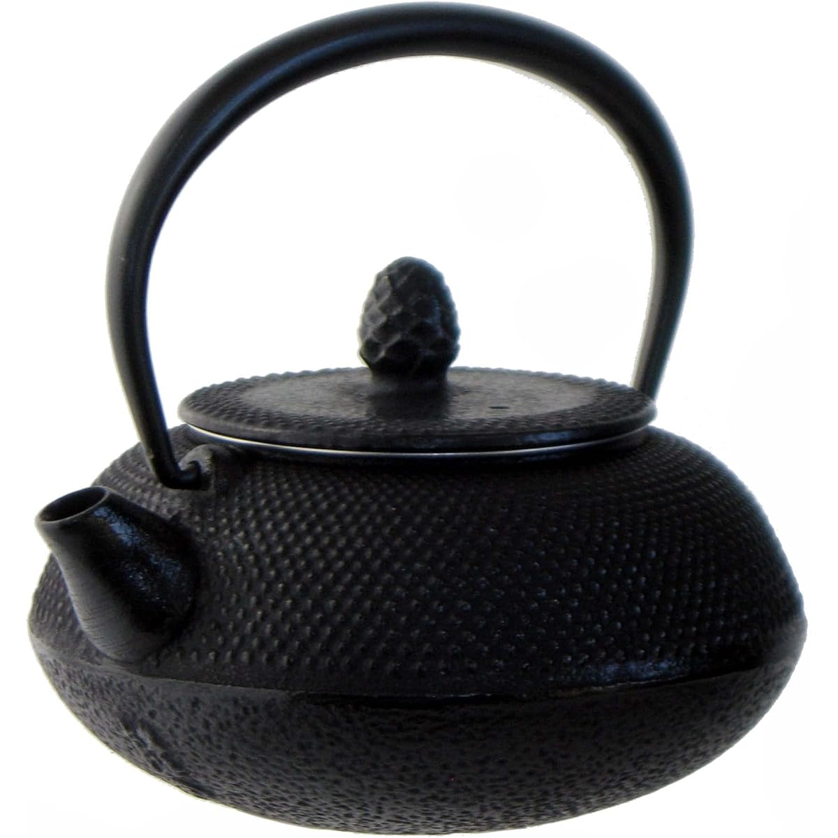 Nagao Mizusawa x Tsubame Sanjo Nanbu Ironware Teapot Santama Arare 180ml Made in Japan