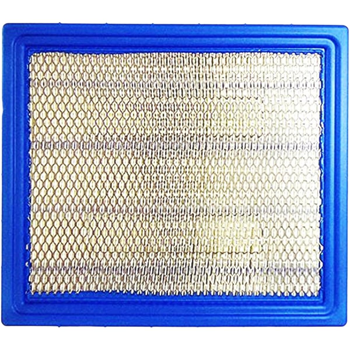 Polaris 7081706 Pure Main Filter Air Box