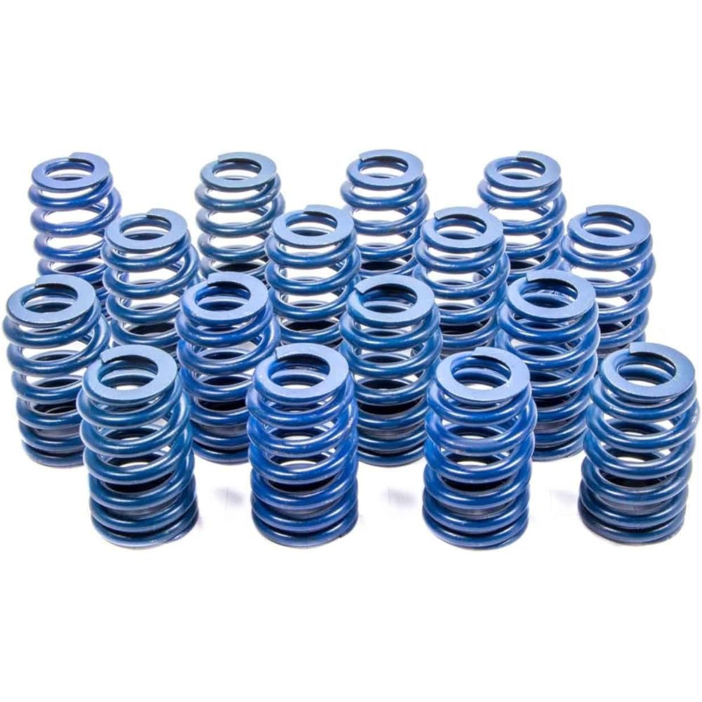 GM Performance Parts 12499224 Spring PKG VLV