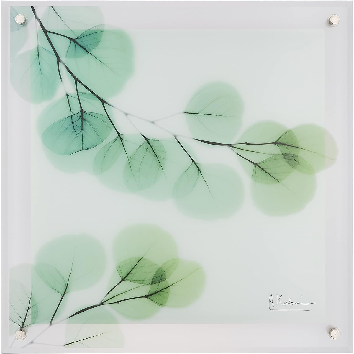 U-Power Plants/Flowers Green W30 x H30 x D2cm