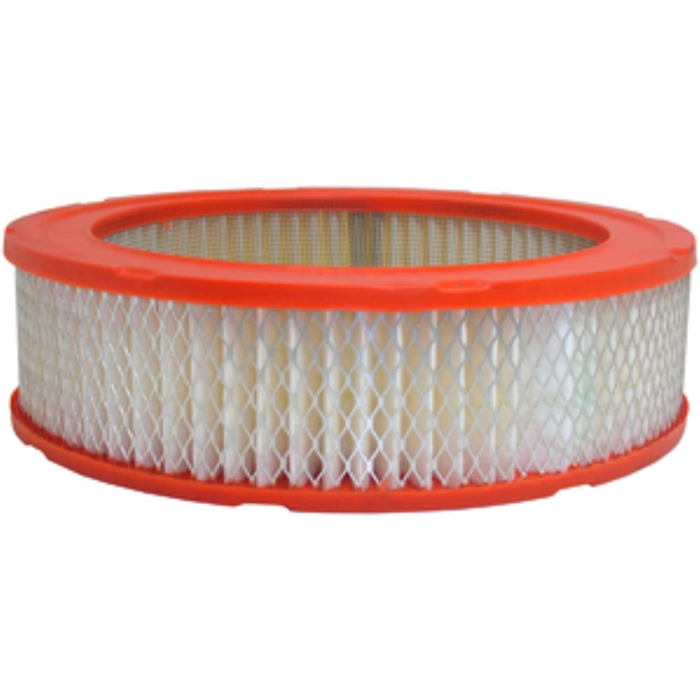 Fram GroupCA160Air Filter-AIR FILTER (Parallel Import)
