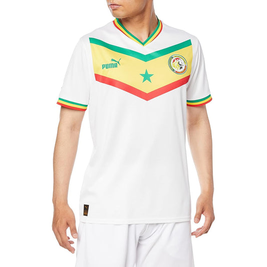 PUMA 765694 Men's Soccer T-Shirt FSF Home SS Replica Shirt