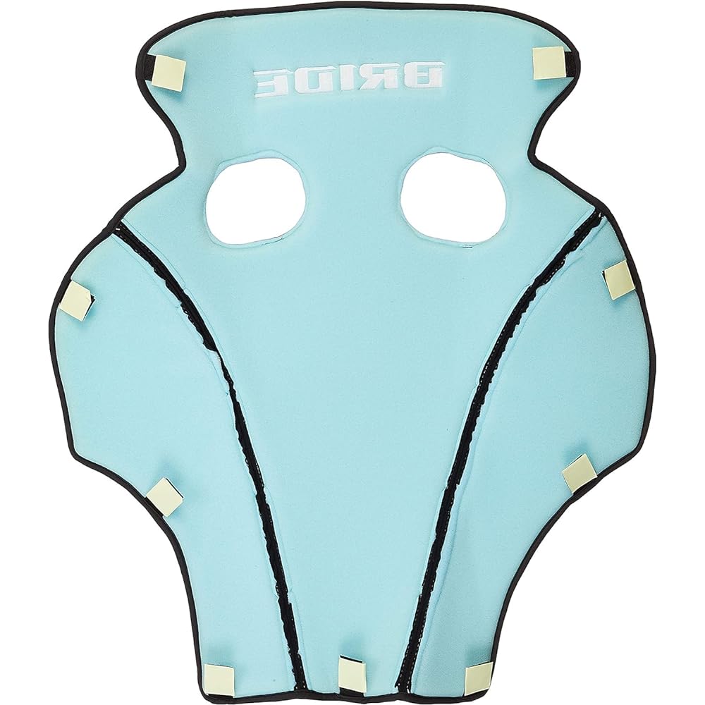 BRIDE seat optional parts [seat back protector] K19 type black K19APO