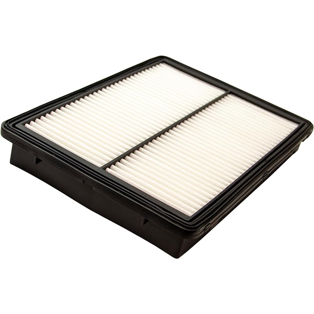 ECOGARD XA10460 Premium Air Filter