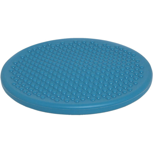 GYMNIC Balance Disc/Disc Sit
