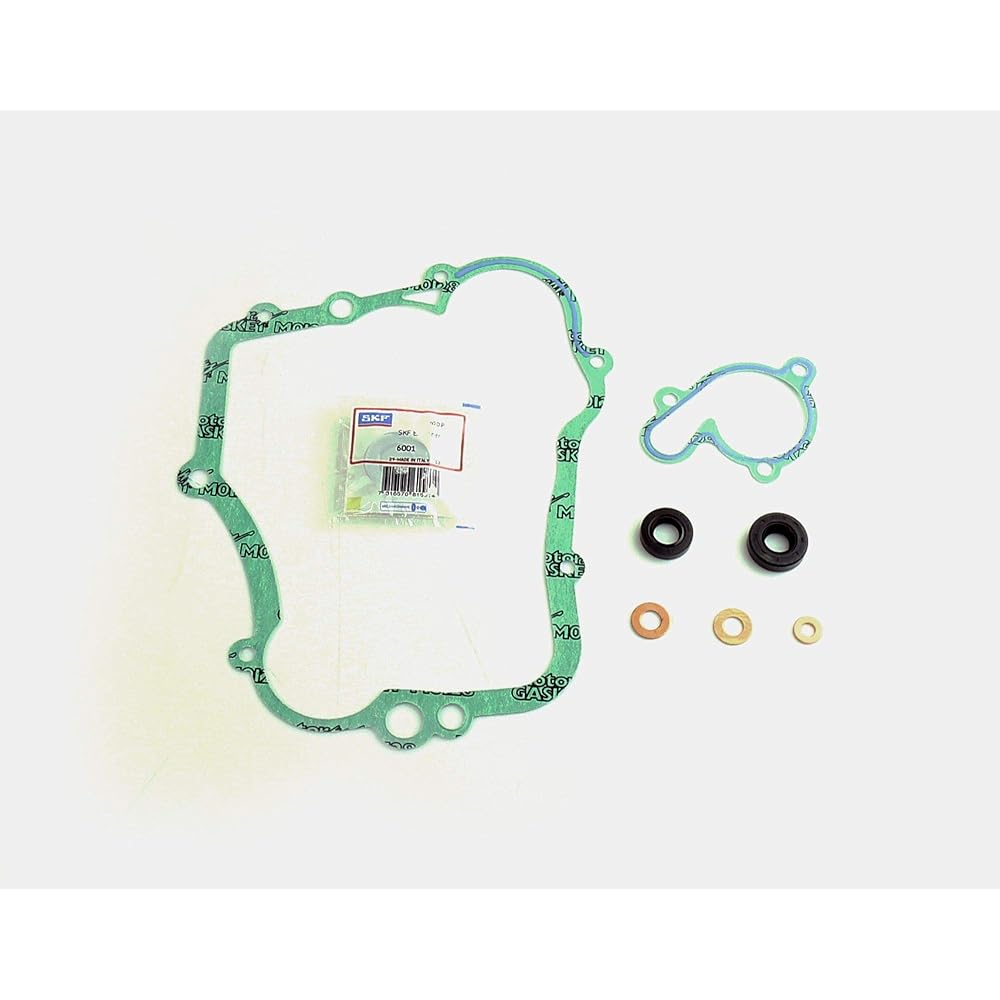 ATHENA PARTS P400485475002 With Black Water Pump Gasket Kit Bearing
