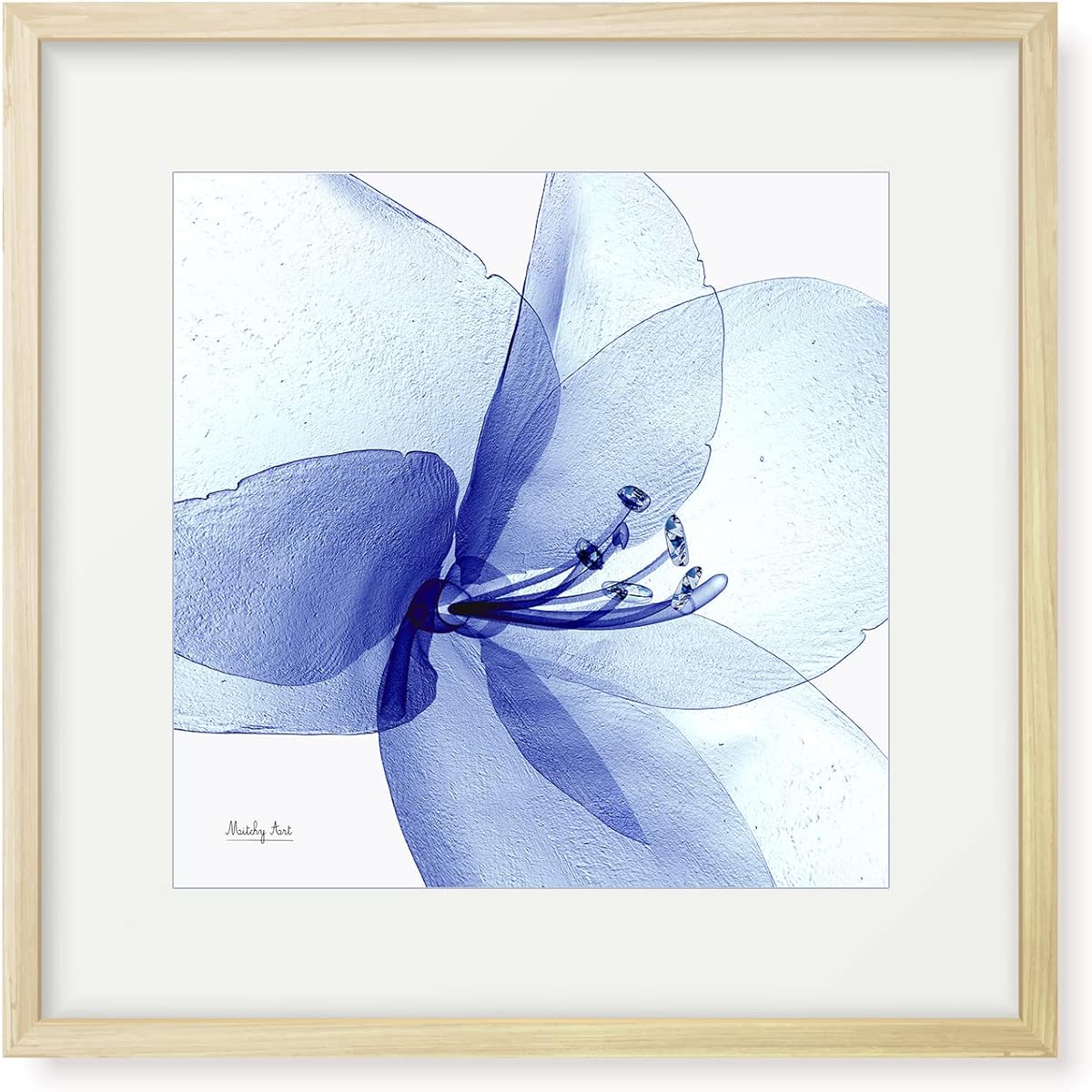 Painting "Glowing Amaryllis" Interior Painting Flower Art Panel Framed (H 32cm x Width 32cm)