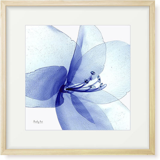 Painting "Glowing Amaryllis" Interior Painting Flower Art Panel Framed (H 32cm x Width 32cm)
