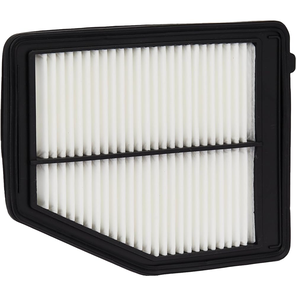 ECOGARD XA6171 Air filter
