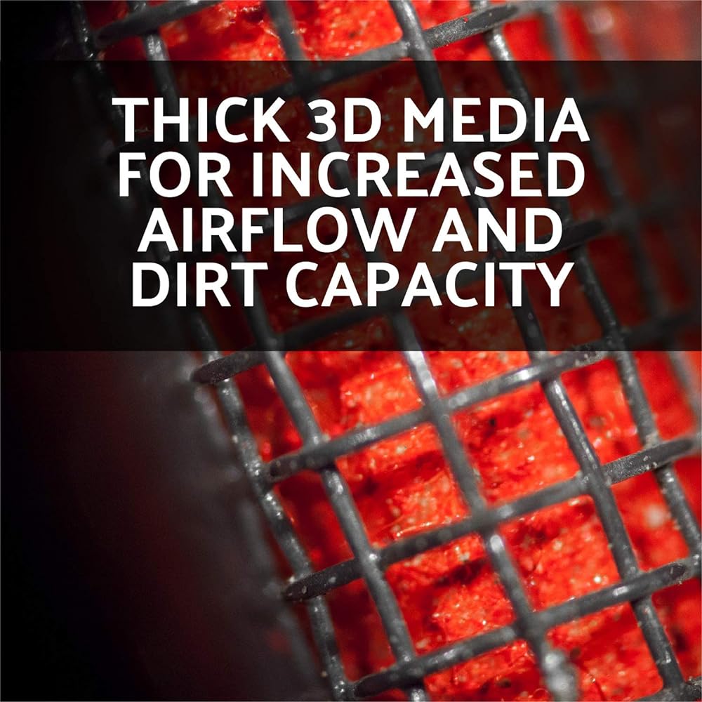 AEM 28-20031 DRYFLOW Air filter