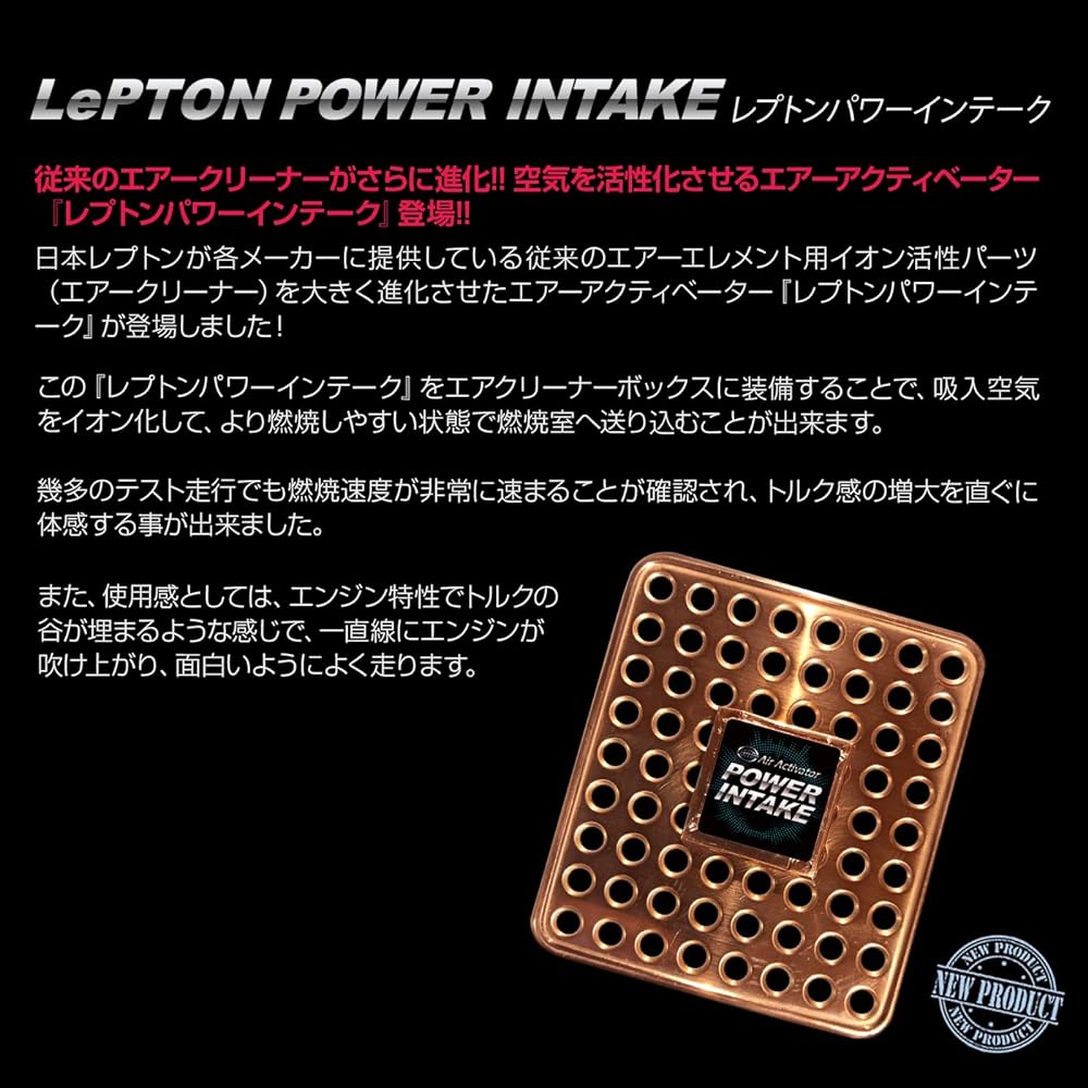 Repton Power Intake The conventional air cleaner has evolved even further!