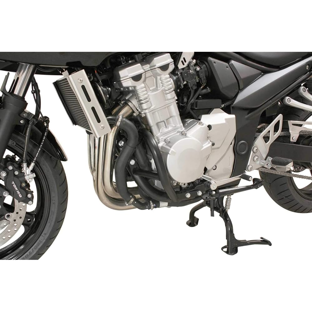 SW MOTECH (ESUDABURYU-MO-TEKKU) CRASH BAR